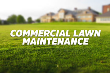 Commercial Lawn Maintenance