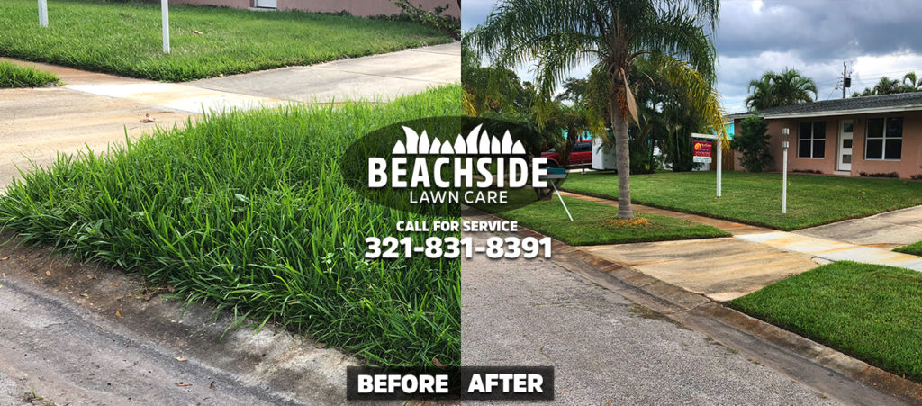 beachside lawn care before after melbourne lawn care