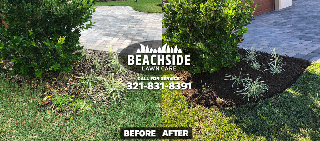 beachside lawn care before after viera mulch installation