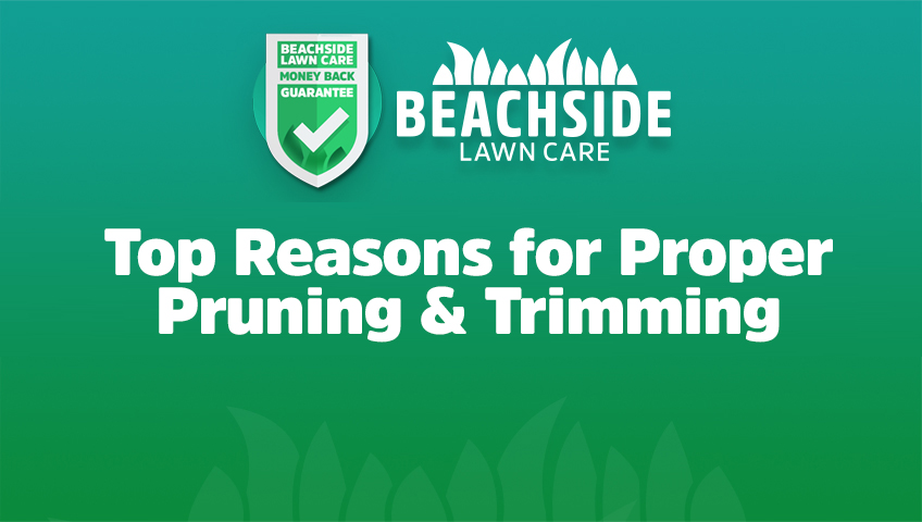 beachside lawn care tips for pruning trimming