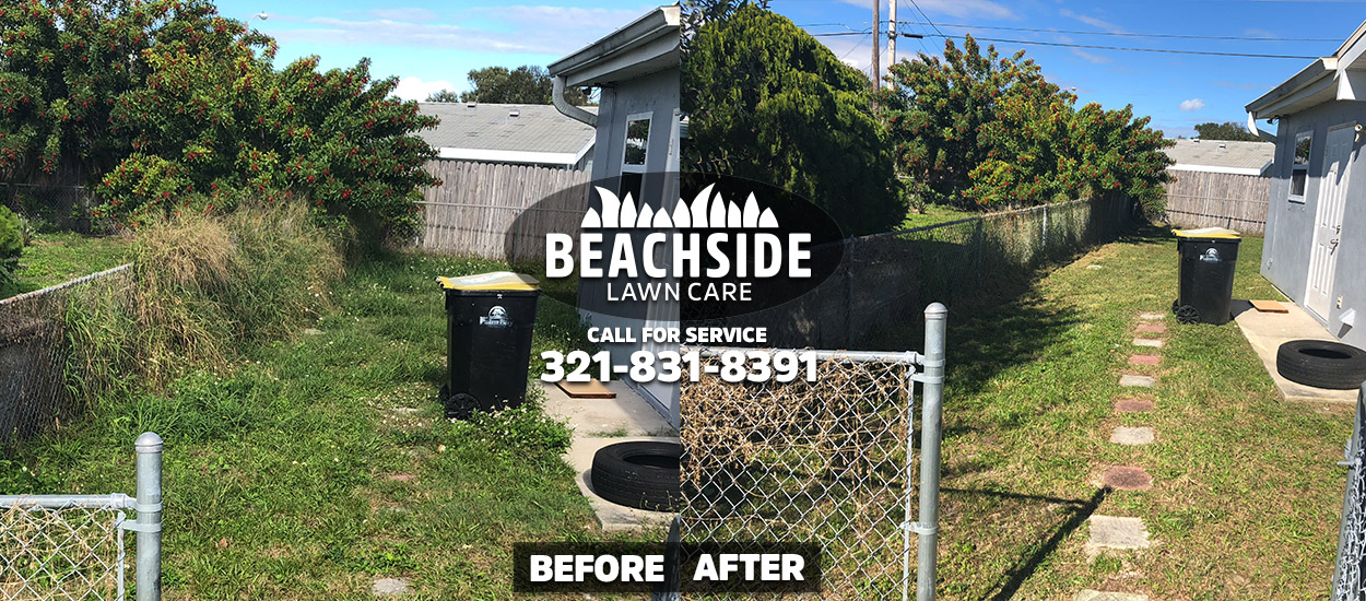 beachside lawn care before after melbourne yard clean up