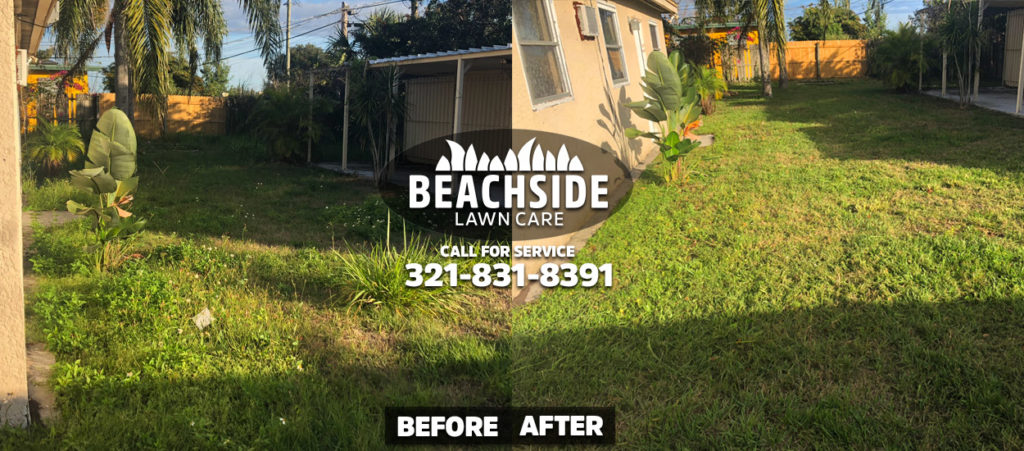 beachside lawn care before after melbourne yard clean up