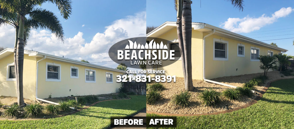 Beachside Lawn Care before after Satellite Beach Landscaping yard cleanup